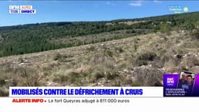 Alpes-de-Haute-Provence: des associations mobilisées contre le défrichement à Cruis