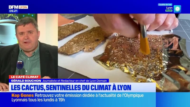 Comme chaque jeudi, c'est le café Climat avec Gérald Bouchon sur BFM Lyon
