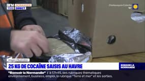 Le Havre: 25 kg de cocaïne saisis début juillet