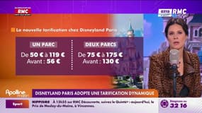 Disneyland : "Ce ne sont pas des tarifs dynamiques, mais tyranniques"