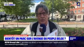 Avenue du Peuple-Belge à Lille: pour le président de l'association Renaissance du Lille ancien, le scénario choisi "n'est absolument pas la solution la plus écologique"