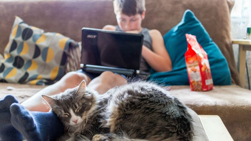 Les télétravailleurs enchaînent davantage d'heures chez eux qu'au bureau.