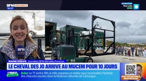 Marseille: Zeus, le célèbre cheval des JO de Paris 2024, installé au Mucem