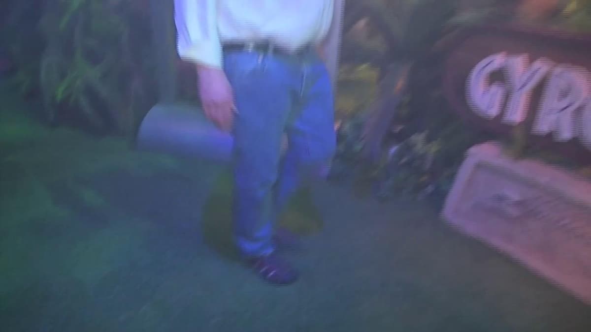 placeholder video