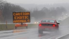 Message mettant en garde les automibilistes sur la présence possible d'animaux dangereux sur une voie rapide près de Zanesville, dans l'Ohio. La police du comté de Muskingum, dans l'est de l'Ohio, a été mobilisée pour participer à un curieux safari afin d