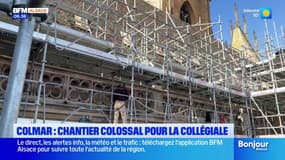 Colmar: la collégiale Saint-Martin au cœur d'une grande opération de restauration