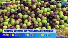 Dans les coulisses du moulin à huile d'Oraison