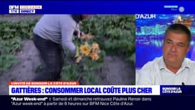 Alpes-Maritimes: le président de la chambre d'agriculture demande un accompagnement de l'Etat pour les agriculteurs