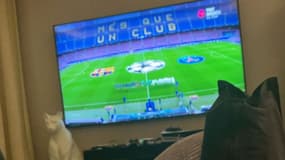 La story Instagram de Neymar pendant Barça-PSG, le 16 février 2021