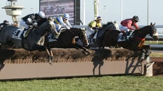 Les pronos hippiques du lundi 12 décembre 2022