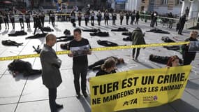 Action coup de poing de Peta France à Paris le 1er novembre 2017 -