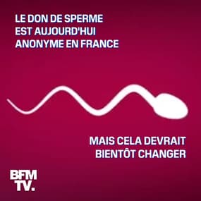 Don de sperme: pourquoi la possible levée de l'anonymat inquiète 