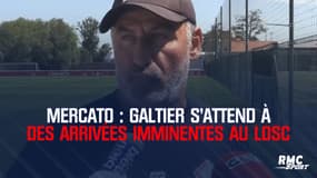 Mercato : Galtier s'attend à des arrivées imminentes au Losc