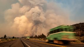 Des pompiers interviennent sur le "Lava Fire", près de Weed en Californie (États-Unis), le 1er juillet 2021.