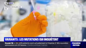 Covid-19: pourquoi les variants continuent d'inquiéter