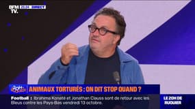 Maltraitance animale dans les élevages: "La protéine animale tous les jours, c'est une catastrophe", estime Yves Camdeborde (chef cuisinier du restaurant L’Avant Comptoir de la Terre)