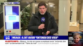Famille tuée à Meaux: le père explique avoir "entendu des voix" lui demandant de "faire du mal"