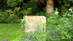 La statue de Voltaire, située rue de Seine (6e arrondissement de Paris) a été retirée de l'espace public.