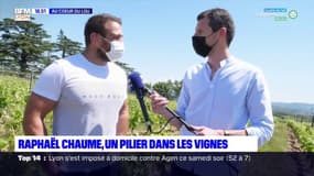 Au cœur du LOU : Raphaël Chaume, un pilier dans les vignes