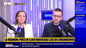 La Réunion: près de 6.000 nouveaux cas de chikungunya enregistrés en une semaine