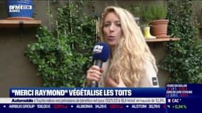Impact : "Merci Raymond" végétalise les toits, par Cyrielle Hariel - 04/11