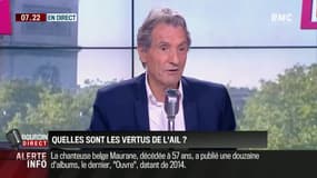 L'ail, remède naturel : une étude scientifique vient de percer (en partie) ses mystères !