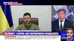 Vadym Omelchenko, ambassadeur d'Ukraine en France: "Le monde est face à un choix: soit l'argent, soit les principes"