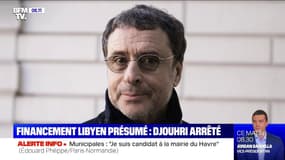 Financement libyen présumé: Alexandre Djouhri arrêté à son arrivée en France