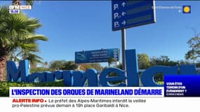 Antibes: l'inspection des orques du parc Marineland débute