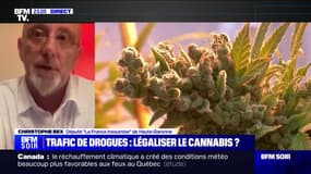 Légalisation du cannabis: "Il faut un changement de logiciel complet", pour Christophe Beix (député LFI de Haute-Garonne)
