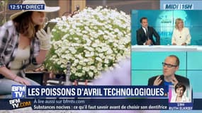 Les poissons d'avril technologiques