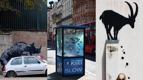 Plusieurs œuvres réalisées par Banksy début août à Londres.