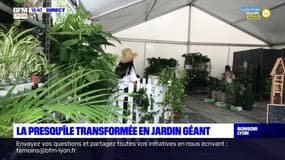 La presqu'île transformée en jardin géant