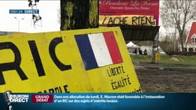 Sur le rond-point des vaches