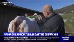 Comment les vaches sont sélectionnées pour figurer au Salon de l'agriculture