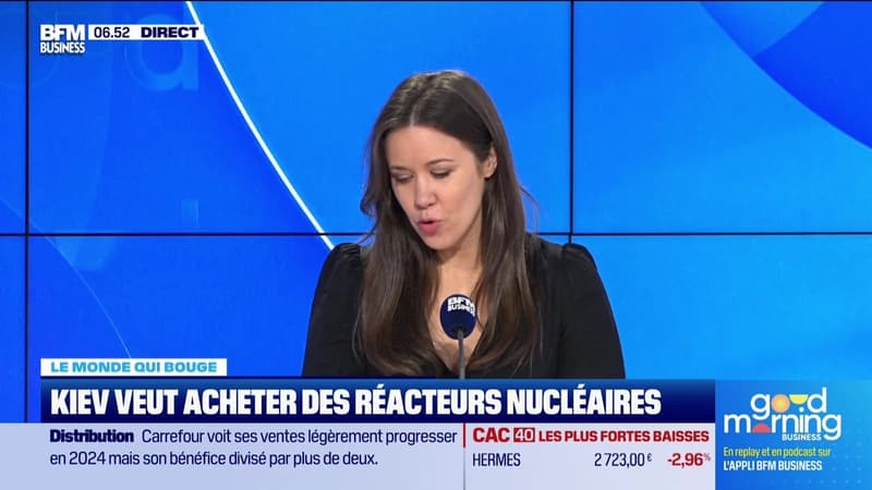 Caroline Loyer : Kiev veut acheter des réacteurs nucléaires - 20/02