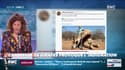 #Magnien, la chronique des réseaux sociaux : Une chasseuse de girafes provoque l'indignation - 28/07