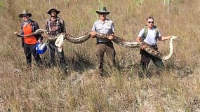 Photo de l'équipe qui a chassé puis attrapé ce python birman femelle, le 4 avril.