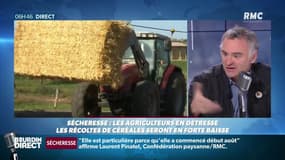 agriculture victime de la sécheresse : "Il y a des gens qui spéculent sur le fourrage, clairement"
