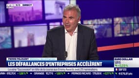 Défaillances d'entreprises :  "dans l’économie normale, les entreprises naissent, grandissent et meurent”