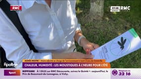 Moustiques : Des solutions 100% naturelles