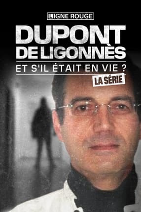Dupont-de-Ligonnès, la série