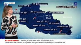 Météo Grand Littoral: des rafales et des précipitations, jusqu'à 10°C à Calais