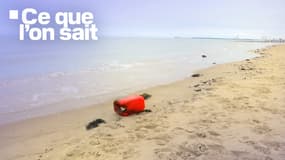 Ce que l'on sait de la mort de migrants au large de Sangatte, dans le Pas-de-Calais, le 29 décembre 2024.