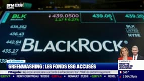 Un ancien cadre de BlackRock dénonce l'hypocrisie des investissements socialement responsables (ESG)