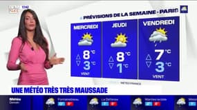 Météo Paris-Ile de France du 4 janvier: Soleil, nuages et pluie