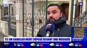 Essonne: un sanglier mort déposé devant une mosquée