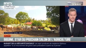 Le break du jeudi 27 novembre