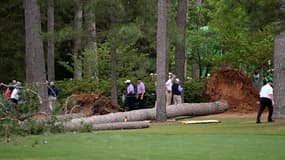 La chute d'un arbre massif au Masters d'Augusta, le 7 avril 2023