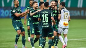 Palmeiras
